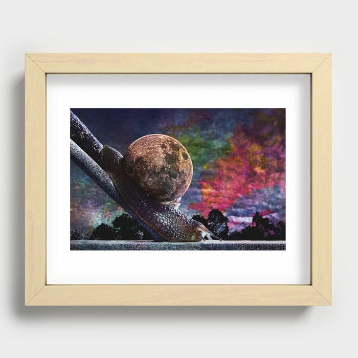 Lunar Snail Recessed Framed Print