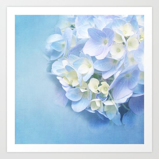 BLUE HYDRANGEA BALL Art Print