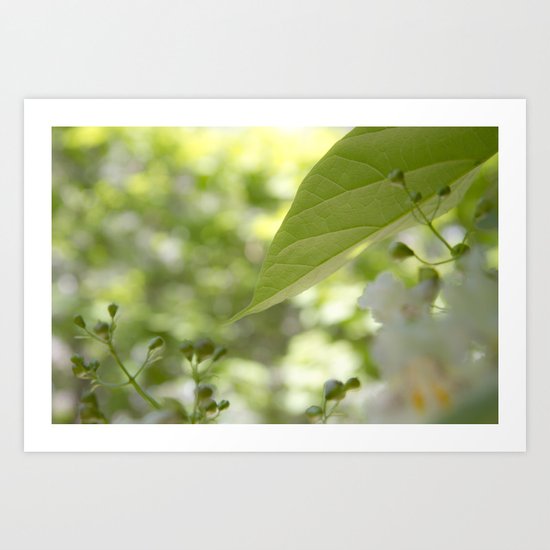 green moments Art Print