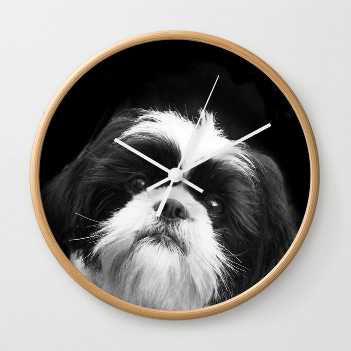 Shih Tzu Dog Wall Clock