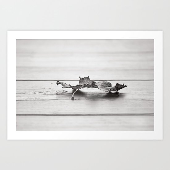 Leaf in the Fall Art Print