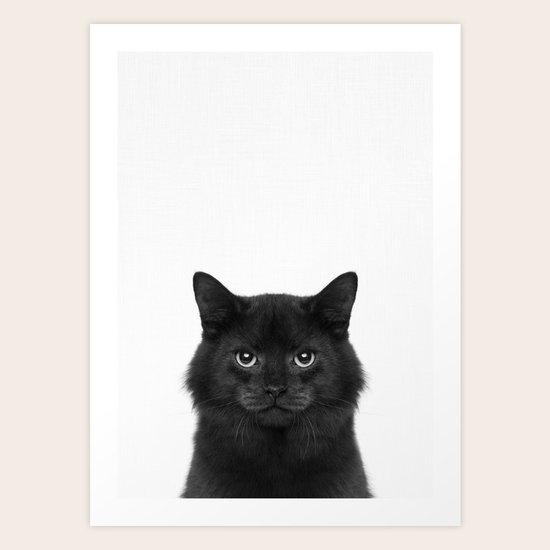 black cat portrait