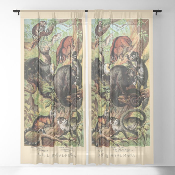 Vintage New World Monkeys Sheer Curtain