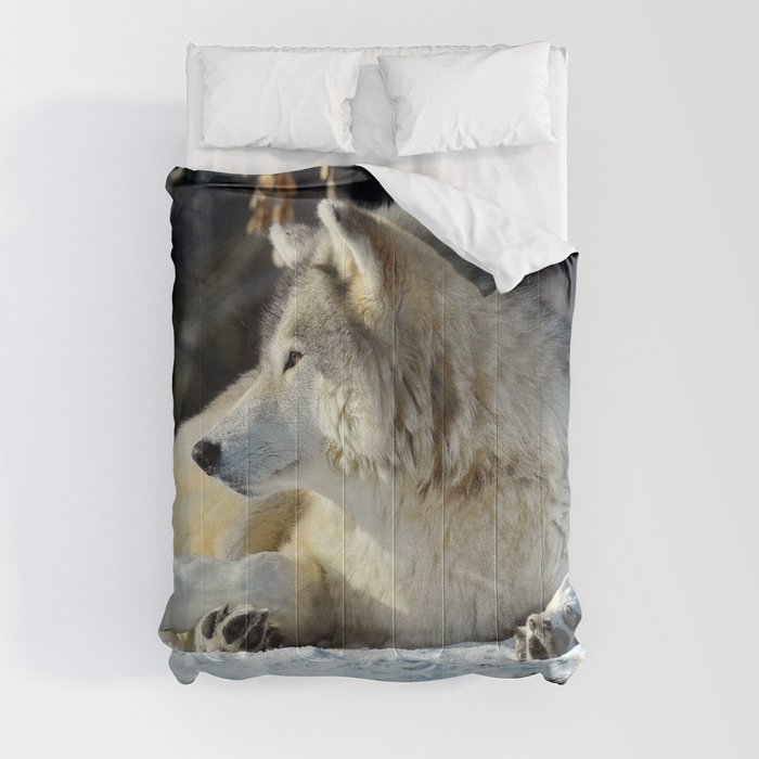 Wolf resting Comforter