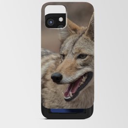 Smiling Coyote iPhone Card Case