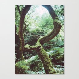 Unearthed Canvas Print
