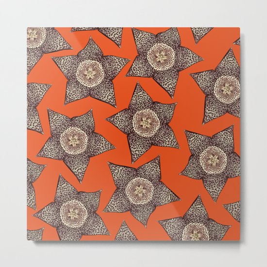 stapelia flower Metal Print