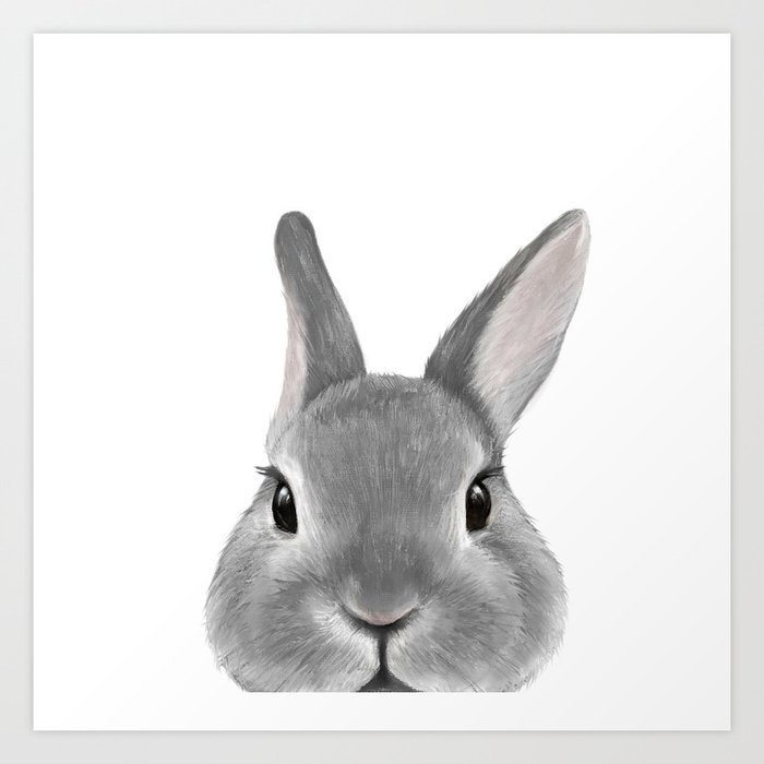 Netherland Dwarf Rabbit Grey Illustration Original Painting Print