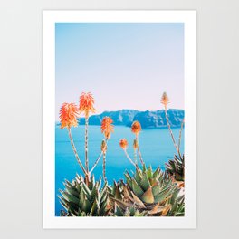 Orange Aloe Vera Flowers - Santorini Photo - Greek Island Photography - Greece Travel Art Print
