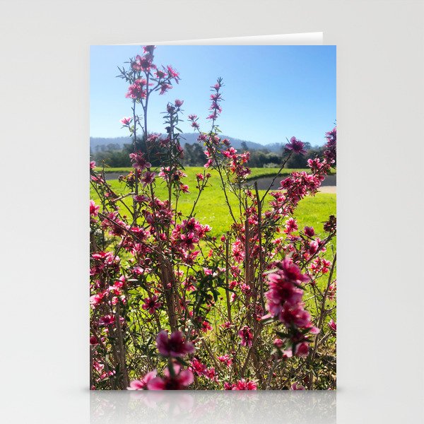 View from the Fringe Stationery Cards