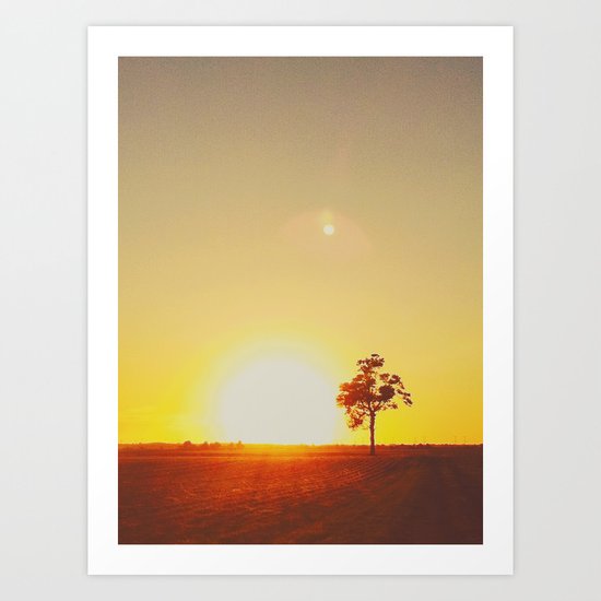 Harvest Art Print