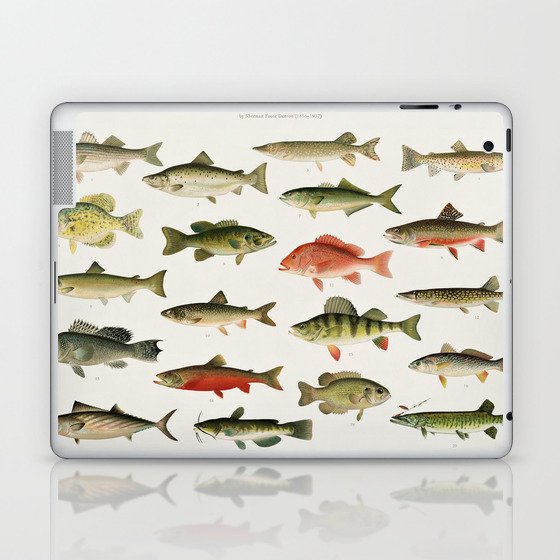 Illustrated North America Game Fish Identification Chart Laptop & iPad Skin