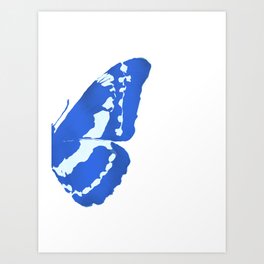 butterfly wings / blue morpho 2/2 Art Print