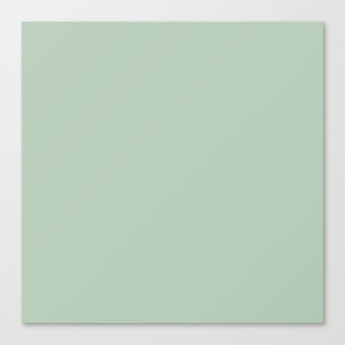 PLAIN CELADON  Canvas Print