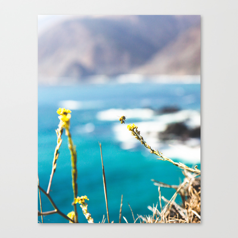 Beeg Sur Canvas Print By Josiahliston Society6