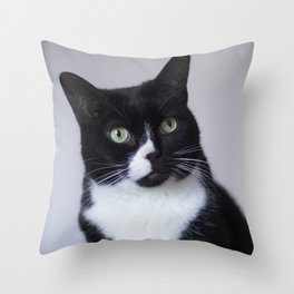 Onyx The Cat Throw Pillow
