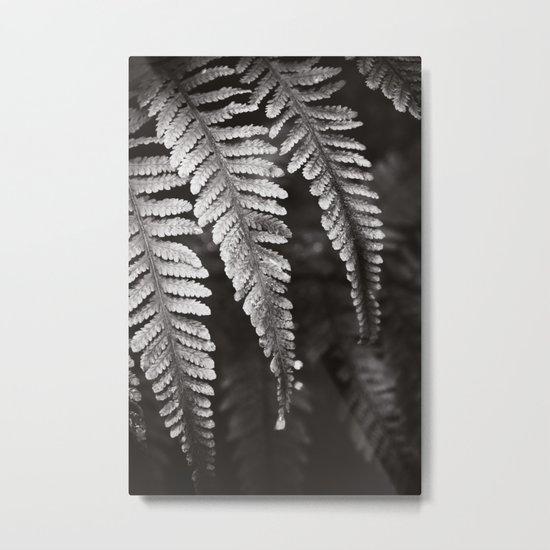 Secret Garden ~ No.8 Metal Print