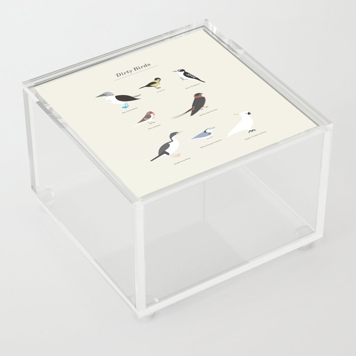 Dirty Birds Acrylic Box