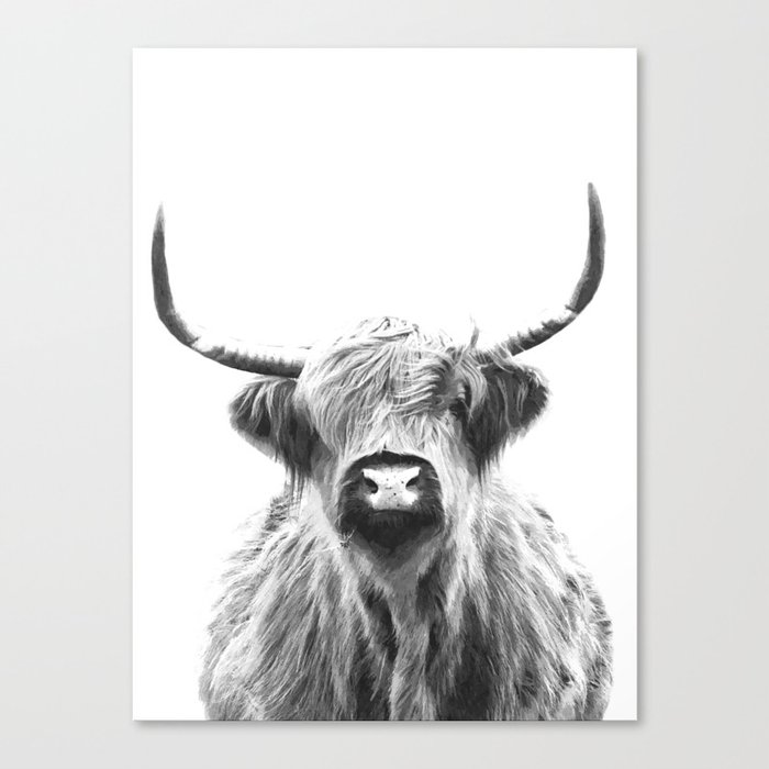 Black and White Highland Cow Portrait Canvas Print