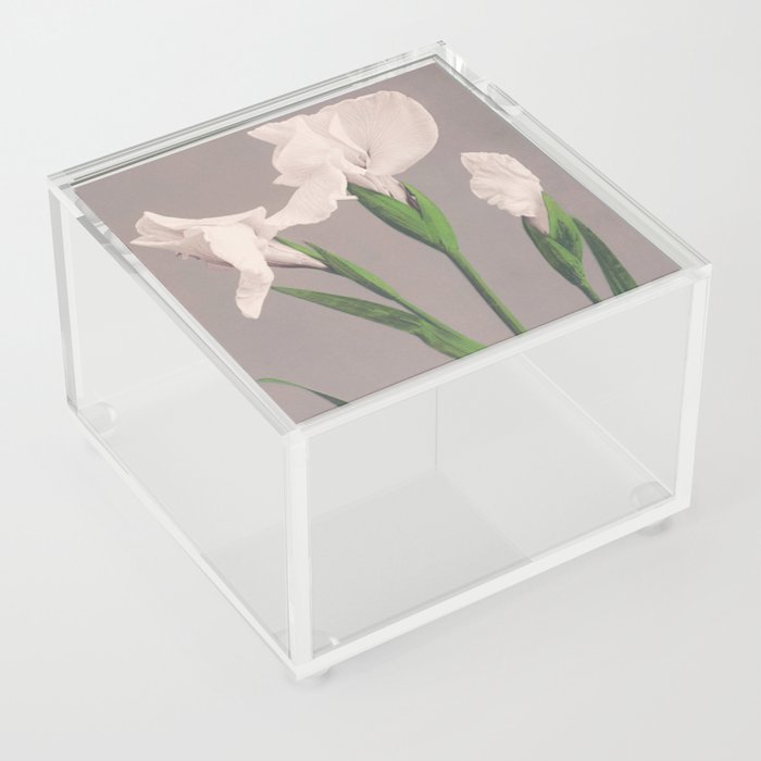 White Iris Acrylic Box