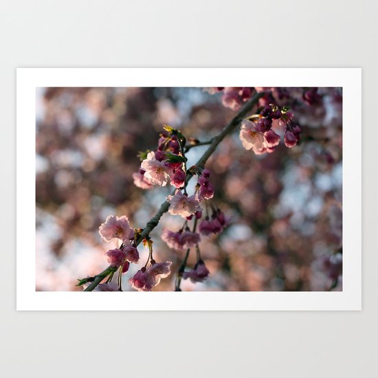 Becoming Art Print