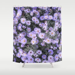 Purple mini chrysanthemum flowers pattern Shower Curtain