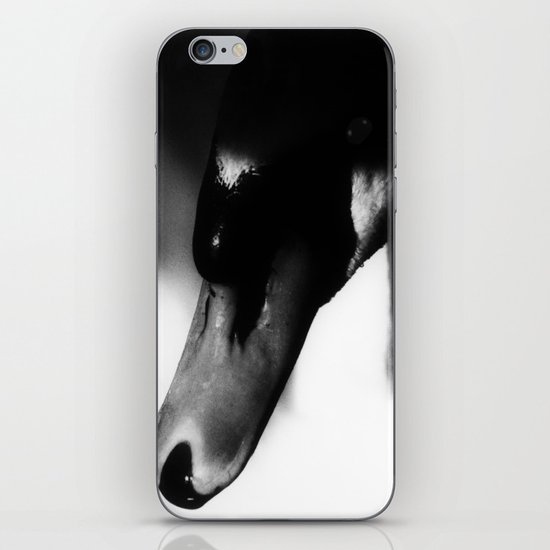 Shy Swan iPhone & iPod Skin
