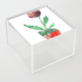 Flower pot Acrylic Box