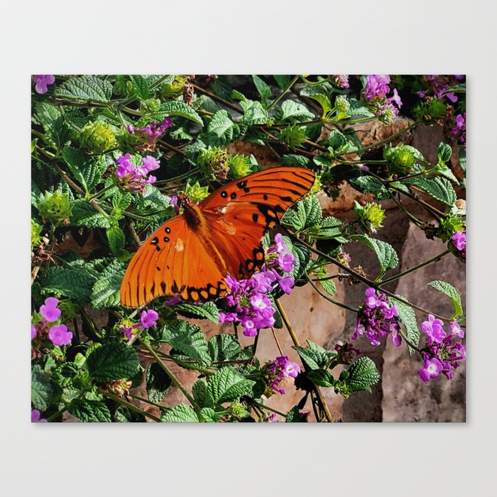 Vibrant Butterfly Canvas Print