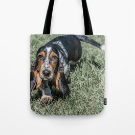 Basset Hound Puppy Droopy Ears Walking in Green Grass Cute Adorable Dog Photography Tote Bag