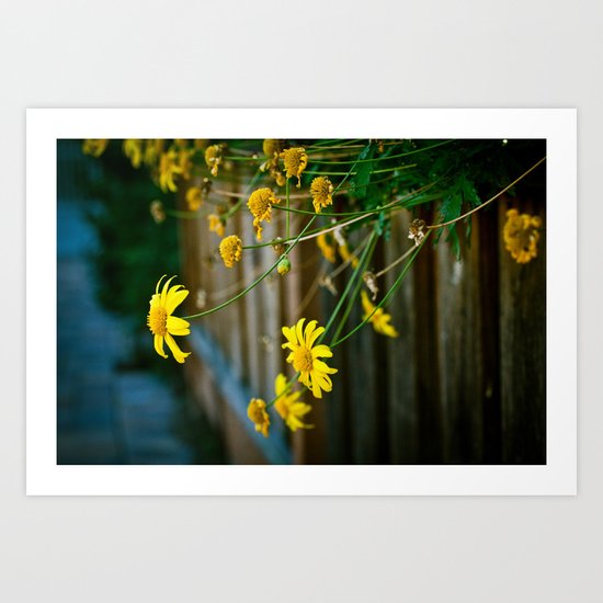 Yellow Art Print