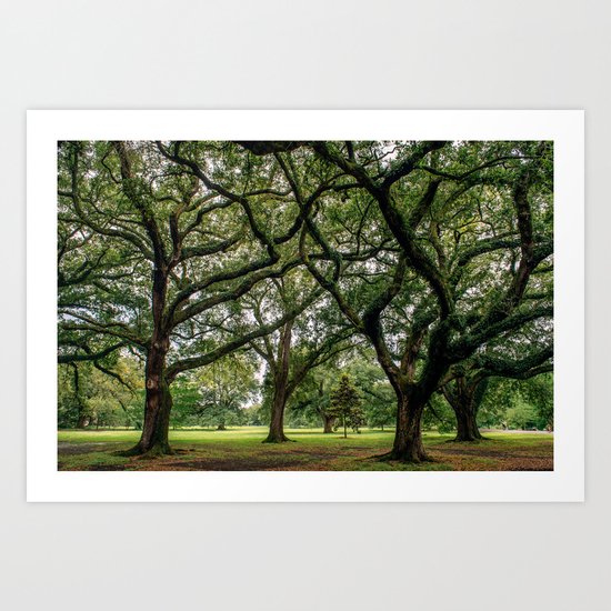 Louisiana Art Print