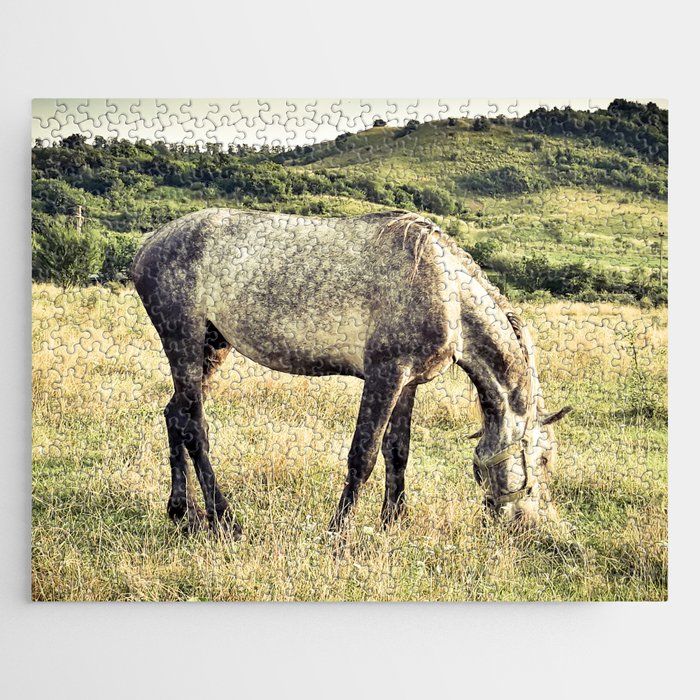 Arabian purebred grey young horse pasture in the countryside at golden hour Jigsaw Puzzle