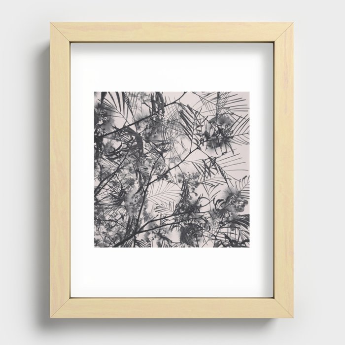 Graphic tree Recessed Framed Print