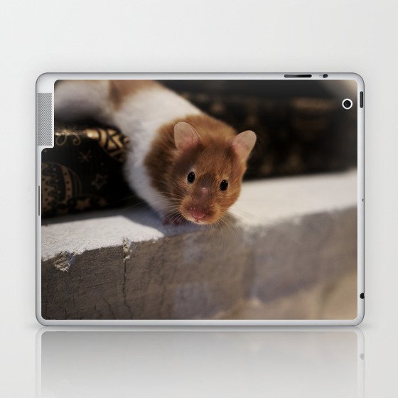 Cute Hamster Laptop & iPad Skin