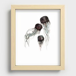 Jellyfish Recessed Framed Print