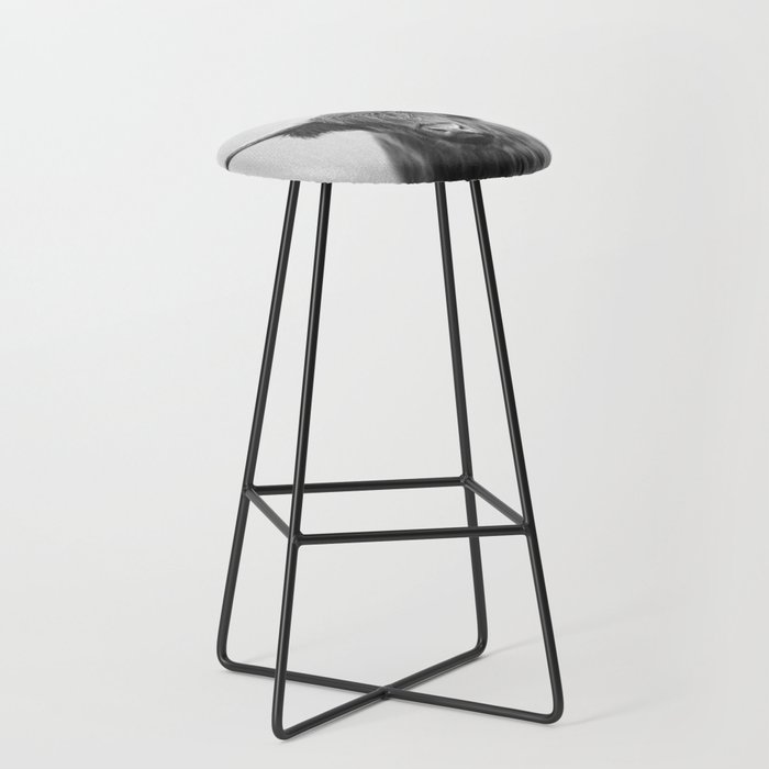 Bar Stool