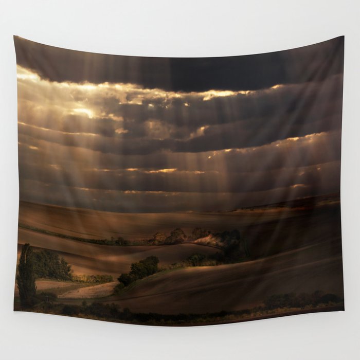 Sunny shower Wall Tapestry