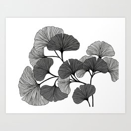 Digital Drawing Black and White Gingko Tree Leaves Natural Line Art Design Art Print