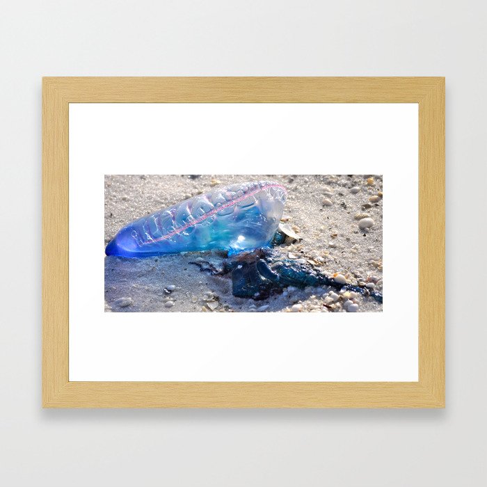 Jelly Fish I Framed Art Print