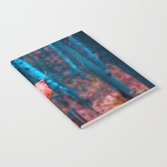 Misplaced Notebook