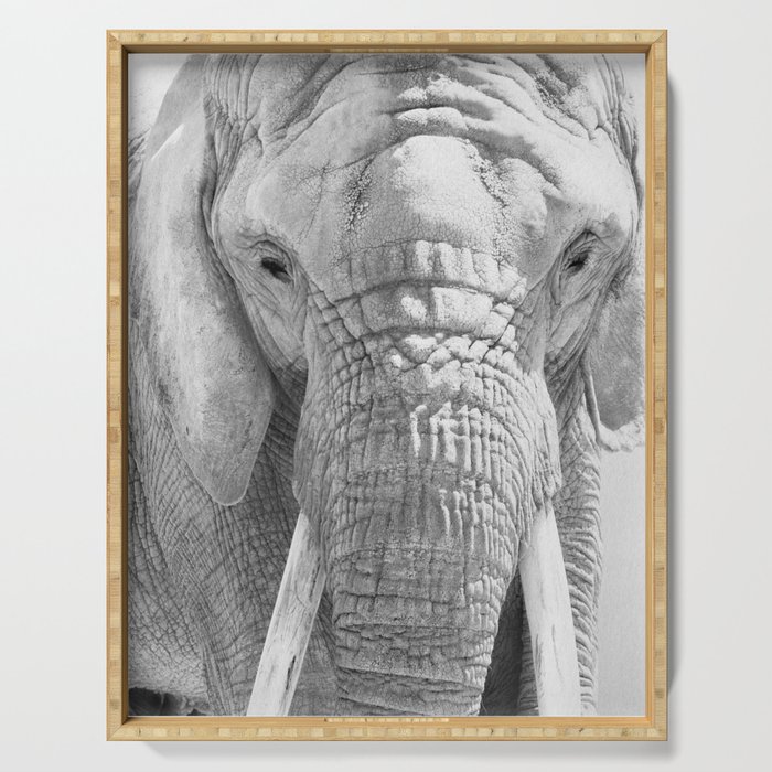 Elephant Photography | Wildlife Art | African Elephant | Nature | Black and White Serving Tray