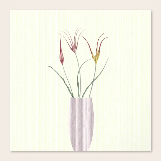Fascination Canvas Print