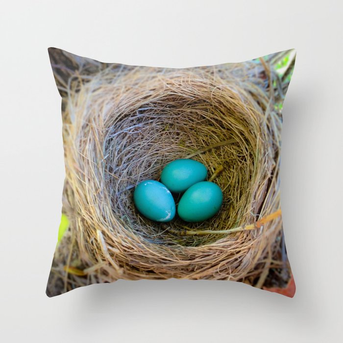 Three Little Robin's Eggs Throw Pillow