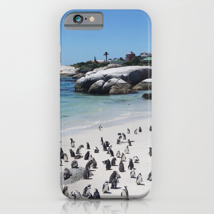 Boulders Beach, South Africa iPhone Case
