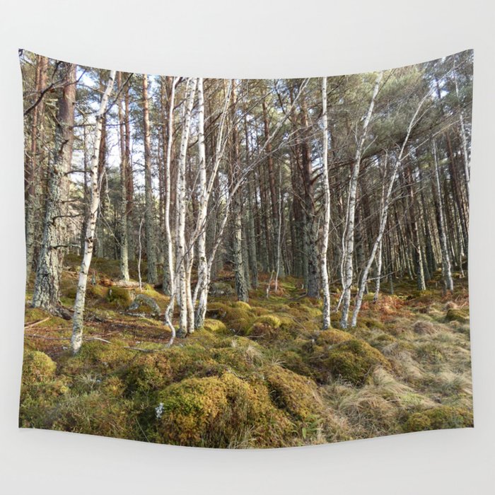 Birch Trees with Pine Trees Winter Scene  Wall Tapestry