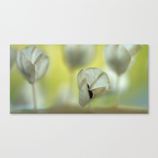 Let´s talk about it... Canvas Print