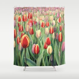 Hand drawn tulip field Shower Curtain