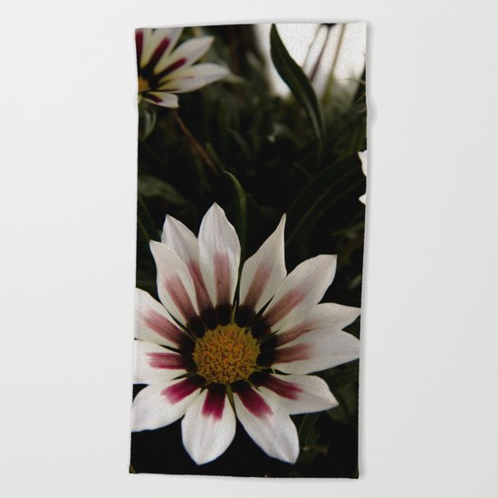 Flowers in summer Beach Towel