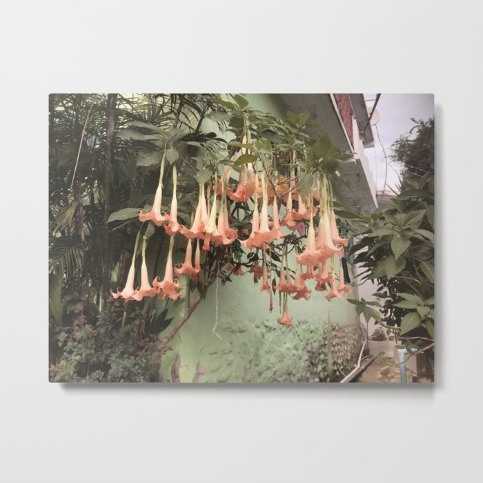 hanging flowers Metal Print